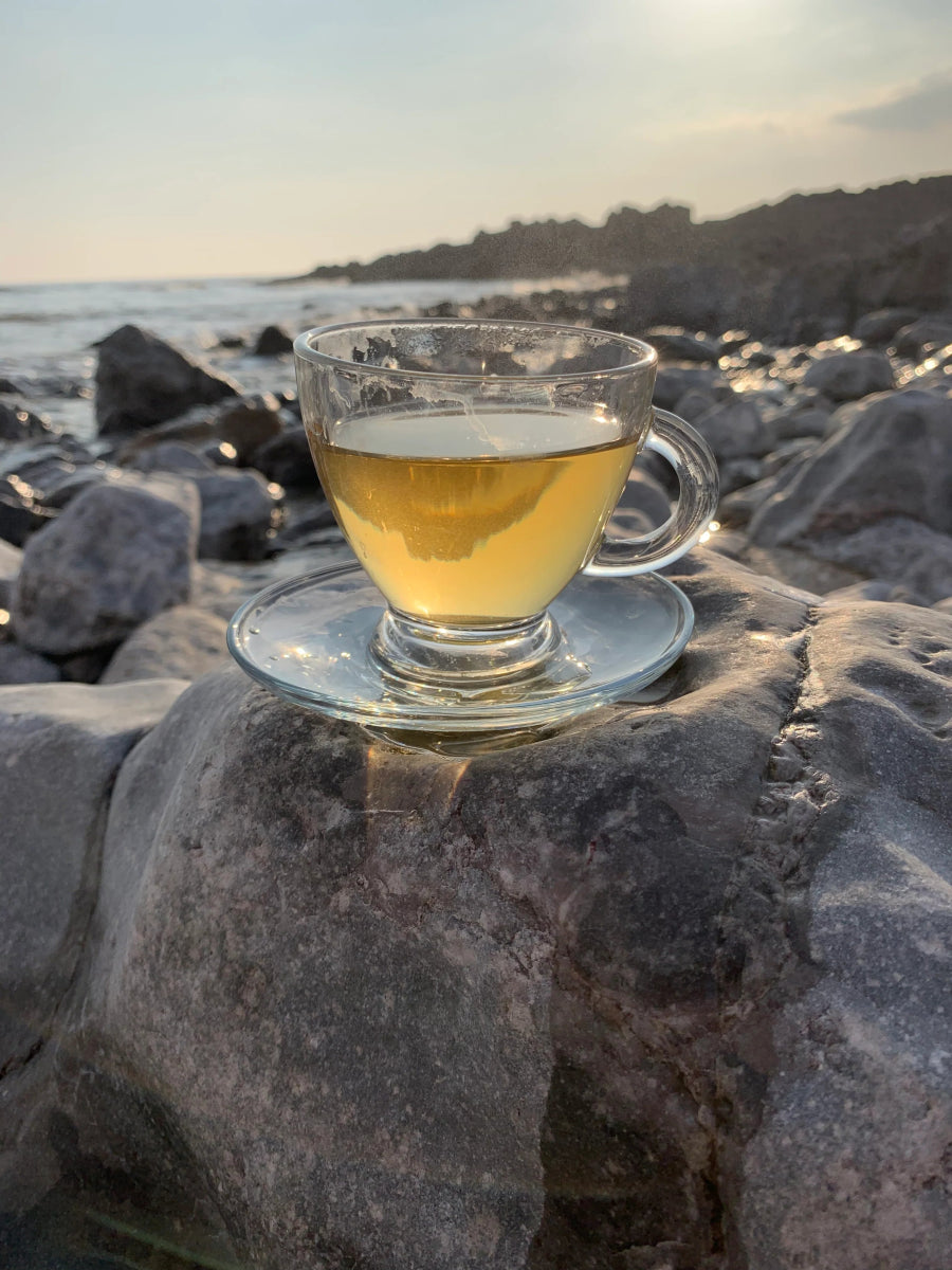 Daily Calm Herbal Tea – Relaxing Blend with Lemon Balm & Chamomile - A Welsh Secret - Tea By The Sea - Tea By The Sea - 