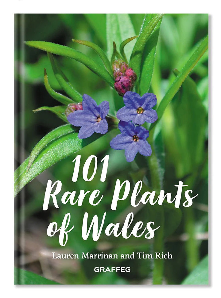 101 Rare Plants of Wales - A Welsh Secret - Graffeg - Books - -