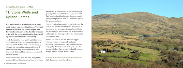 Country Diary Wales - A Welsh Secret - Graffeg - Books - -